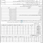 Teachers – District Education Office (Female) VII