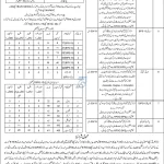 Teachers Recruitment in District Dir Bala