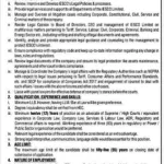 Lahore electric supply company chief legal officer