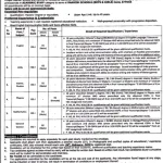 Punjab Daanish Schools Teachers Required