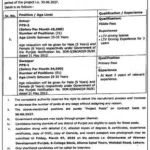 Career Opportunities at Directorate of Women Development Punjab