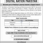 Digital Nation Pakistan