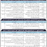 Pakistan Navy
