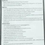 Chief Executive Officer (CEO)
