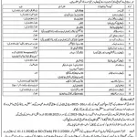 University of Sargodha