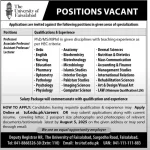 University of Faisalabad