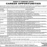 Sindh IT Company