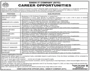 Sindh IT Company