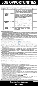 Government Job