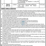 Government Job