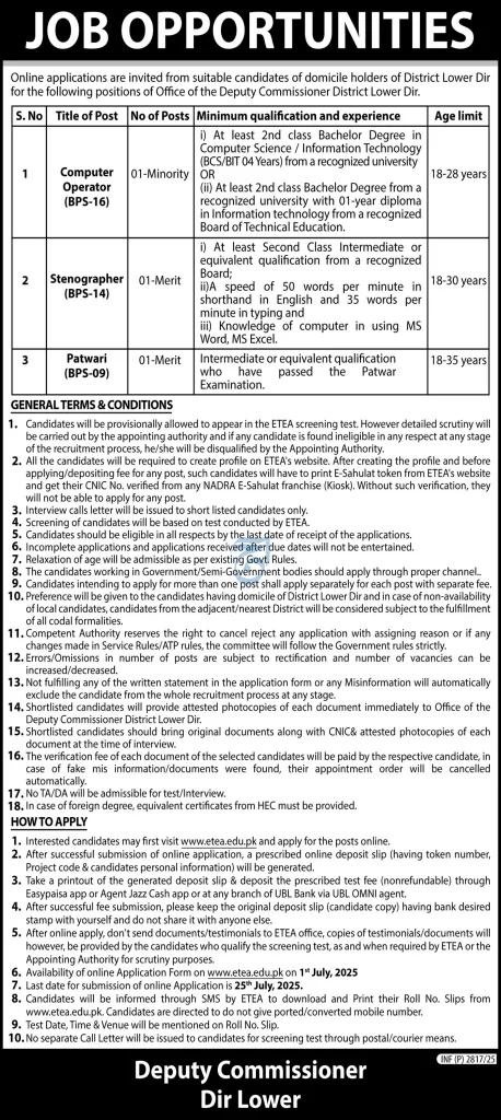 Government Job