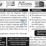 English Access Scholarship Program