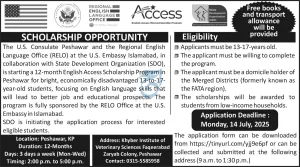 English Access Scholarship Program