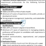 Project Manager