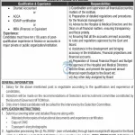 Director Finance