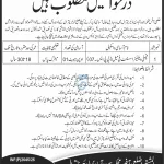 Female Welfare Assistant