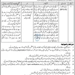 Primary Healthcare Technician
