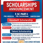 Peshawar Model Degree College