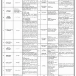 PPHI Sindh