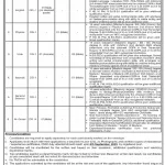 Punjab Daanish Schools