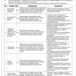 Government of Sindh