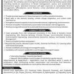 Paid Internship