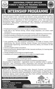 Paid Internship