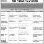 Sindh Institute of Urology and Transplantation