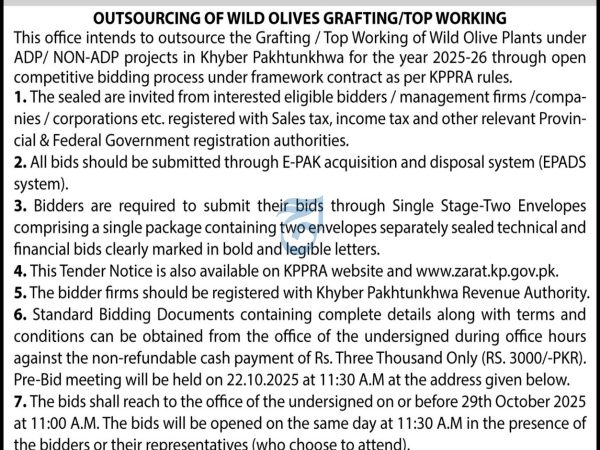 Outsourcing of Wild Olives