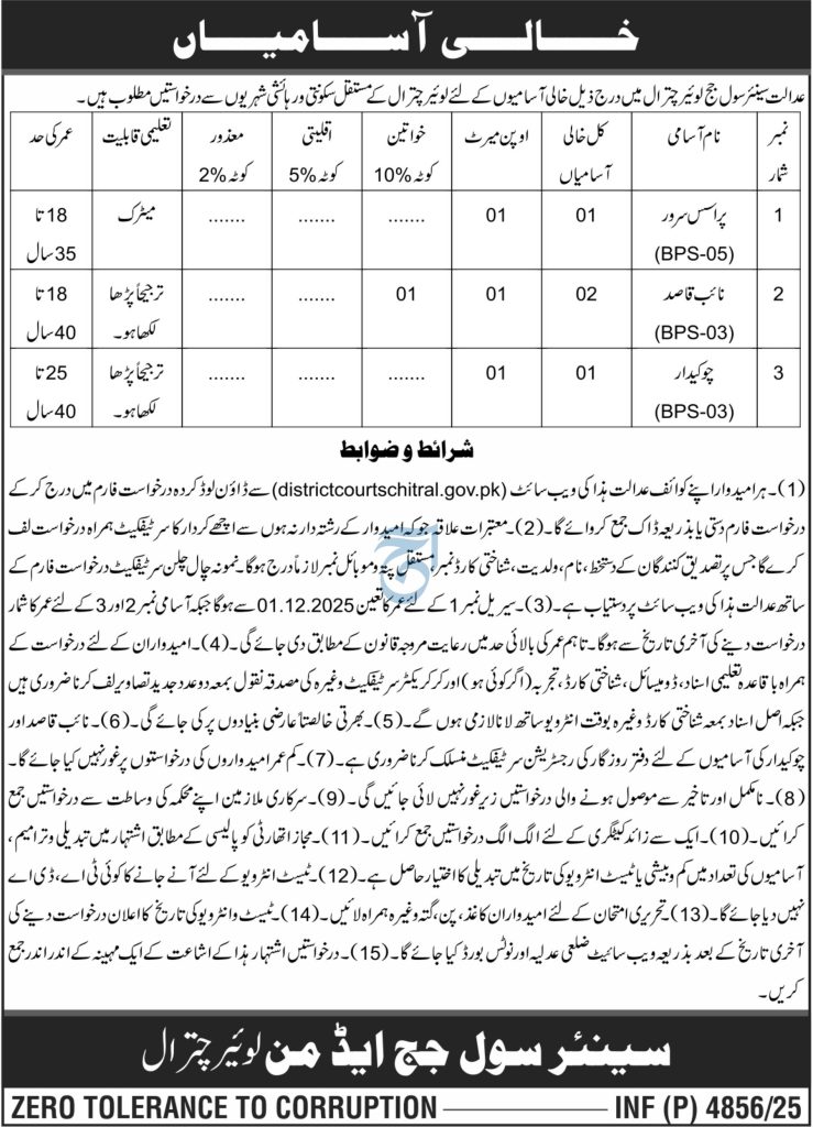 District Courts Chitral Jobs