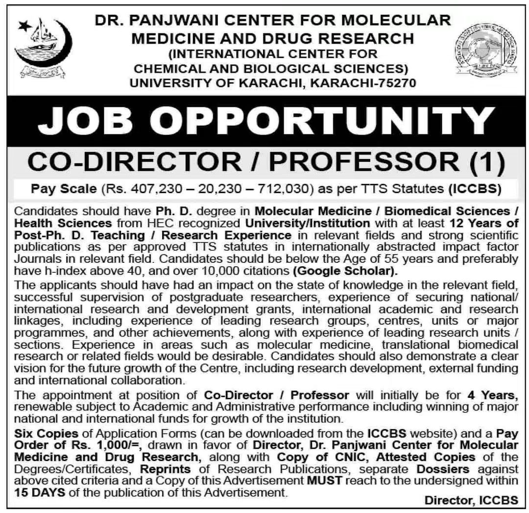 Dr. Panjwani Center for Molecular Medicine and Drug Research (ICCBS) Jobs 2026