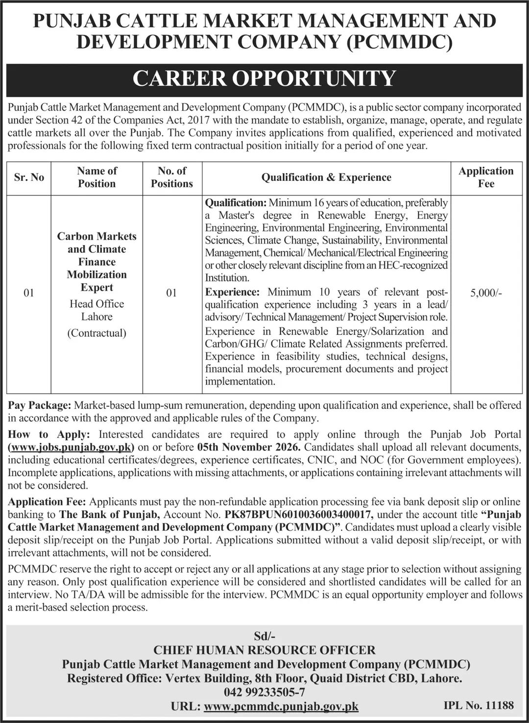 Punjab Cattle Market Management and Development Company (PCMMDC) Jobs 2026